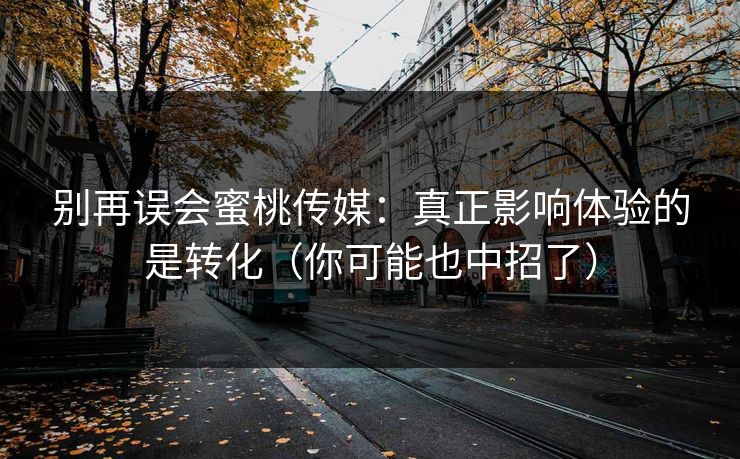 别再误会蜜桃传媒：真正影响体验的是转化（你可能也中招了）